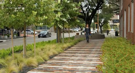 a green street in Houston, illustrated (by: Design Workshop, courtesy of… Streetscape Design, Architecture Foundation, New Urbanism, Desain Lanskap, Pedestrian Street, Green Street, Landscape Architecture Design, Green City, Street Design