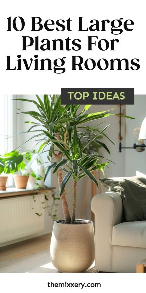 10 large plants decorating a sunlit living room. Plants Family Room, Plant Next To Couch, Indoor Plant Pots Ideas, Aesthetic Living Room Plants, Indoor Plants Living Room Ideas, Planters In Living Room, Arranging House Plants Living Rooms, Home Plant Decor Ideas, Inside Planters Living Rooms