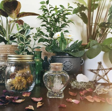 Witch Aesthetic Bedroom, Wiccan Aesthetic, Cottage Witch Aesthetic, Green Witch Aesthetic, Types Of Witchcraft, Witchcore Aesthetic, Witchy Cottagecore, Cottagecore Witch, Types Of Aesthetics