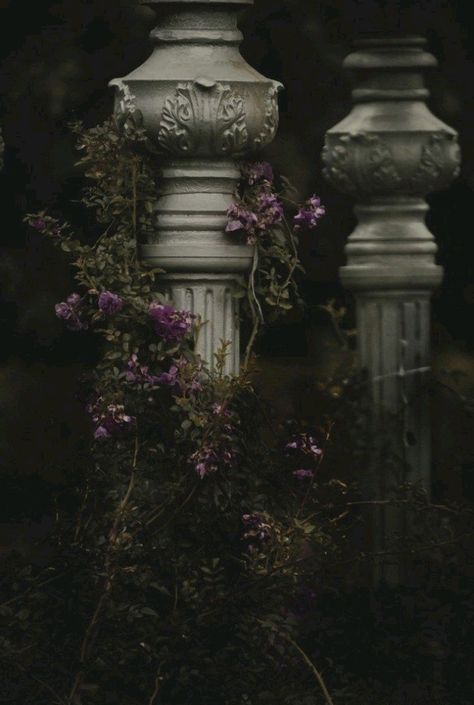 Dark Naturalism, Dark Acadamia, Flowers Growing, Yennefer Of Vengerberg, Royal Aesthetic, Midnight Garden, Slytherin Aesthetic, Dark Paradise, Hades And Persephone