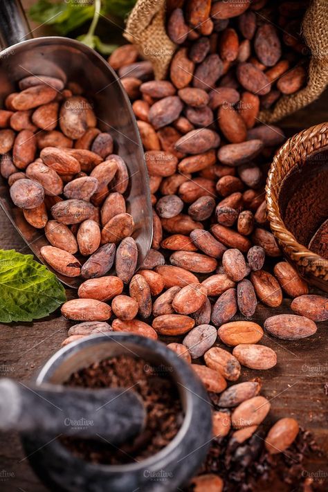 Cocoa Fruit, Cacao Fruit, Cacao Chocolate, Cocoa Beans, Organic Snacks, Cocoa Chocolate, Cocoa Nibs, Cacao Beans, Fruit Photography