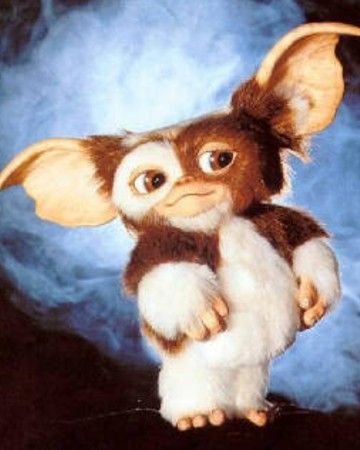 Gizmo from Gremlins. Gizmo is so cute. Gremlins Art, Gizmo Gremlins, The Gremlins, Mexican Quotes, Christmas Drawing, Weird Creatures, Gremlins, Horror Movies, Sailor Moon