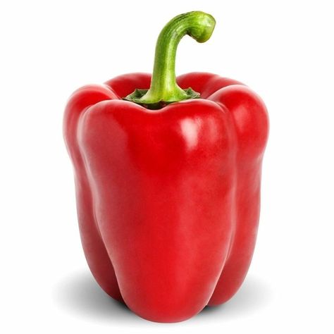 PRICES MAY VARY. Planting Depth: 1/4" Seed Spacing: 12-18" Temperature: 50-90°F Days to Germination: 10-14 Days to Maturity: 75 Big Red Sweet Bell Pepper Seeds (Capsicum Annuum) Bell Pepper Seeds, Seeds Gifts, Capsicum Annuum, Sweet Bell Peppers, Flower Drawing Tutorials, Heirloom Vegetables, Organic Tomatoes, Pepper Seeds, Home Vegetable Garden