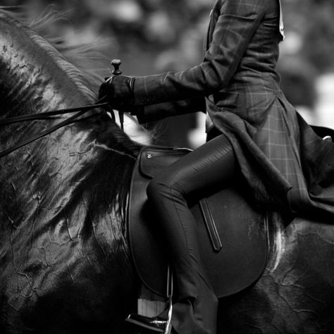 World's Horse Show -Fine Art Photography print - Black&White -8x8 photograph by reallyneatfinds (20.00 USD) horses, black and white, photography, lifestyle, competition, horse show, photojournalism,... Saddleseat Riding, Horse Riding Outfit, Morgan Horse, American Saddlebred, Saddle Seat, Equestrian Lifestyle, All The Pretty Horses, Horse Show, Horse Crazy