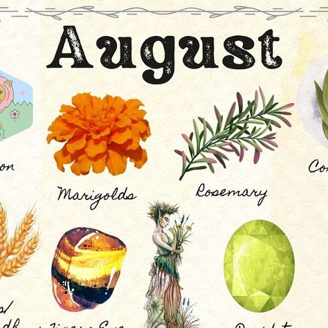 Alice Kendall on Instagram: "August Correspondences

It’s the beautiful month of August! What do you love most about August and do you have an August birthday?

Content and graphic design @starlightandsage_

Follow @starlightandsage_ for more witchy and magical content...

#august #helloaugust #summertime #augustmagick #summer #lammas #lughnasadh #augustcorrespondences  #cornmoon #leoseason  #sunflowers #peridot  #phoenix #tigerseye #marigold #rosemary #ganesh #virgoseason #newmooninleo" August Correspondences, Lammas Lughnasadh, Corn Moon, Leo Energy, Hello August, August Month, Virgo Season, Month Of August, Leo Season