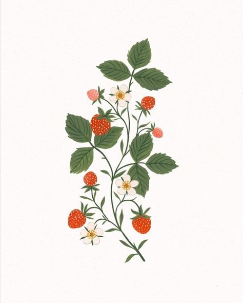 Wild Strawberry Botanical Illustration, Ornamental Flowers Drawing, Wild Strawberry Drawing, Doodles Cottagecore, Strawberry Drawing Aesthetic, Strawberry Botanical Illustration, Matcha Illustration, Carved Mugs, Floral Illustration Art