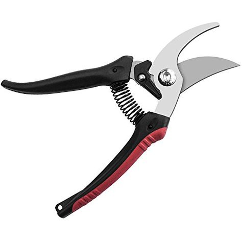 Pruning Shears, JEOutdoors Professional High Carbon Alloy... https://www.amazon.co.uk/dp/B072JCW85Q/ref=cm_sw_r_pi_dp_U_x_29oQBbS51718F Pennisetum Setaceum, Fountain Grass, Lighted Branches, Garden Shears, Better Homes And Garden, Tree Trimming, Backyard Inspo, Ornamental Grasses, Garden Trees