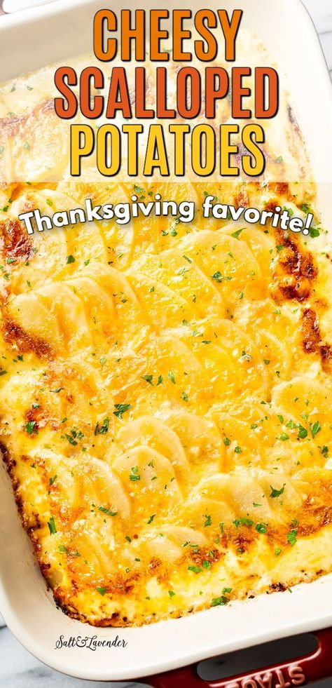 Cheese Potato Recipes, Scalloped Potatoes No Cheese, Easy Cheesy Scalloped Potatoes, Easy Scalloped Potatoes Recipe, Scalloped Potatoes Easy, Cheesy Scalloped Potatoes, Scalloped Potatoes Recipe, Au Gratin Potato Recipes, Au Gratin Recipes