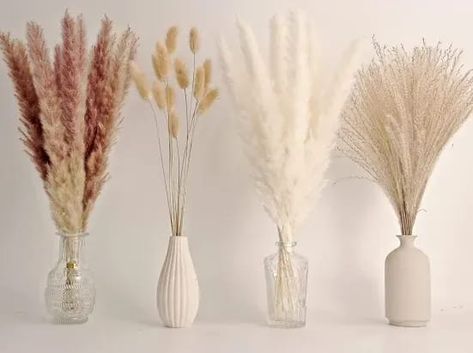 12 Amazon Items to Spice Up Your Room Pampas Grass Vase, Grass Bouquet, Boho Vase, Pampas Grass Bouquet, Dried Pampas, Pampas Grass Decor, Grass Decor, Bunny Tails, Boho Room Decor