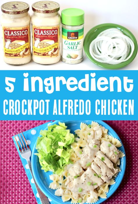 Crockpot Fettucini Alfredo Chicken Easy Recipes, Crockpot Chicken Recipes Alfredo, Three Ingredient Crockpot Recipes, Crockpot Chicken Alfredo Easy Jar, Crock Pot Chicken Alfredo Recipes, Crockpot Chicken Fettuccine, Crock Pot Meals Easy 5 Ingredients, Crockpot Chicken Alfredo Easy Jar Sauce, Slow Cooker Chicken Alfredo Easy