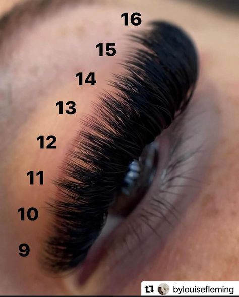 Lash Clusters Extensions Map, D Curl Lash Map Clusters, Doll Lash Extensions Map, Thick Lash Extensions, Lash Cluster Mapping Styles, Cat Eye Lash Map, Lash Patterns, Lashes Map, Lash Maps