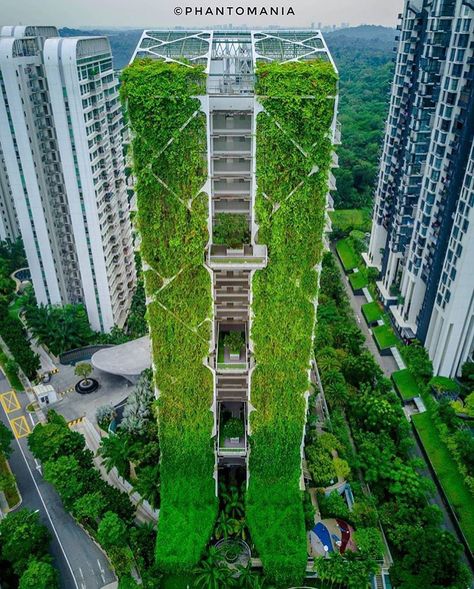 Green building of the day! TREE HOUSE SINGAPURE . . Photo by @phantomania . Architecture: @addparchitects . . Tag your friend below 👇🏽 Follow us @skyscraperengineering for more! . #skyscraperengineering #civilengworld #civilengineering #civilengineer Scenario Ideas, Green Building Architecture, Vertical Forest, Garden Wall Designs, Green Facade, Wellness Club, Vertical Farming, Bjarke Ingels, Green Architecture