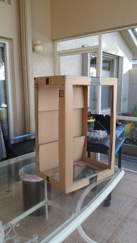 DIY Butterfly Habitat out of Amazon Prime Box Pic B 08FEB18 Diy Butterfly Habitat, Diy Butterfly House, Butterfly Breeding, Butterfly Information, Bug Garden, Stick Insects, Butterfly Sanctuary, Raising Butterflies, Monarch Butterfly Garden