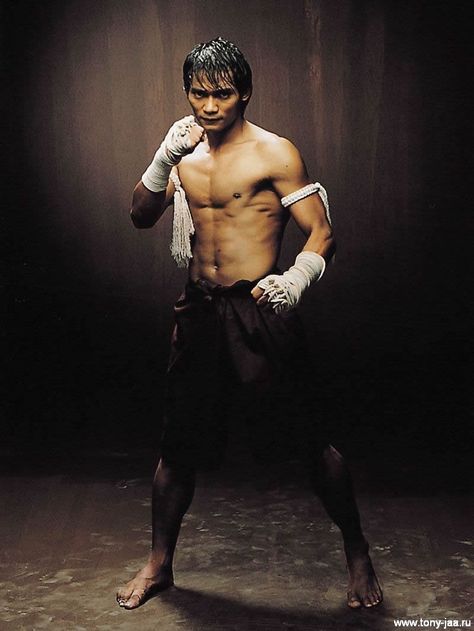 Tony Jaa Biceps, Judo, Karate, Muay Thai, Avengers, Tony Jaa, Bruce Lee, Gi Joe, Tony