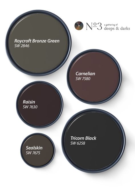 Our Favorite Deeps and Darks of 2024 | Tinted Deep Color Bathroom, Dark Clove Sherwin Williams Paint, Moody Home Paint Colors, Sherwin Williams Dark Bedroom Colors, Moody Bathroom Paint Colors Sherwin Williams, Bathroom Dark Paint Colors, Juniper Berry Paint Color, Dark Behr Paint Colors, Witchy Wall Colors