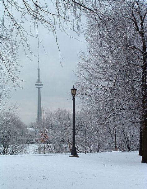 Toronto Canada Winter, Toronto Snow, Clifton Hill Niagara Falls, Toronto Cn Tower, Toronto Winter, Ontario Photography, Toronto Images, Standing In Water, Backpacking Canada