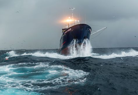 Steller's Sea Cow, Leading Lines, Bering Sea, Alaska Fishing, Riders On The Storm, Sea Cow, Photographic Art, Deep Sea, Water Crafts