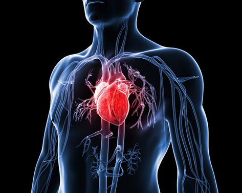 The 4 Heart Disease Conditions You MUST Know About  http://www.womenshealthmag.com/health/heart-disease Penyakit Jantung, Cholesterol Remedies, Coronary Arteries, Heart Problems, Human Heart, Men's Health, Cardiovascular Disease, Heart Health, Lifestyle Changes