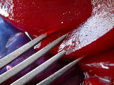 How to Remold Jellied Cranberry Sauce | eHow.com Cranberry Benefits, Canned Cranberries, Cranberry Jelly, Jellied Cranberry Sauce, Canned Cranberry Sauce, Homemade Carrot Cake, Cranberry Orange Bread, Leftover Cranberry Sauce, Cranberry Bread