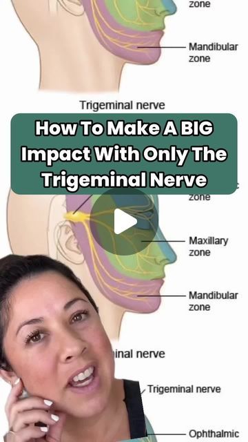 Missy Bunch | Movement + Neurology for Pros 👀🧠💪🏽 on Instagram: "🚨 Are your clients dealing with persistent jaw pain? Or maybe they’re grinding their teeth and feeling numbness in their face?  Follow the neuroanatomy of this nerve and see what else you can come up with!  💡 It’s easy to blame stress or assume it’s just “how they are,” but the real culprit might be the trigeminal nerve—the largest cranial nerve responsible for facial sensation. When this nerve gets irritated, it can trigger TMJ pain, jaw tension, and numbness.  👉 Save this post for your client toolbox and share it with fellow pros who work with clients suffering from these symptoms. This could be a game changer in your approach for jaw issues!  🧠 Think of the trigeminal nerve as the main highway for messages between t Trigeminal Neurology, Trigeminal Nerve Pain Relief, Feeling Numbness, Trigeminal Nerve, Tooth Nerve, Nerve Anatomy, Facial Nerve, Jaw Pain, Cranial Nerves