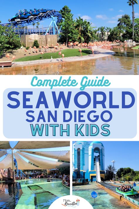 Complete guide to SeaWorld San Diego with tips for everything you need to know about this marine theme park. This article offers a complete family guide to educational shows and animal presentations, touch pools, and aquariums. Find out about kid-friendly attractions and thrill rides, including height requirements. Tips on the All-Day Dining Deal and seasonal special events like the Halloween Spooktacular. Details on discounted SeaWorld San Diego tickets and when kids can get free admission. Los Angeles, Sea World San Diego Tips, San Diego Sea World, Sea World San Diego, San Diego With Kids, San Diego Map, Cali Summer, San Diego Attractions, San Deigo