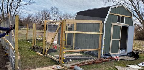 Shed To Chicken Coop Conversion, Shed Chicken Coop Conversion, Duck Run, Shed Conversion, Converted Shed, Duck Coop, How To Raise Chickens, Chicken Coup, Fence Pickets