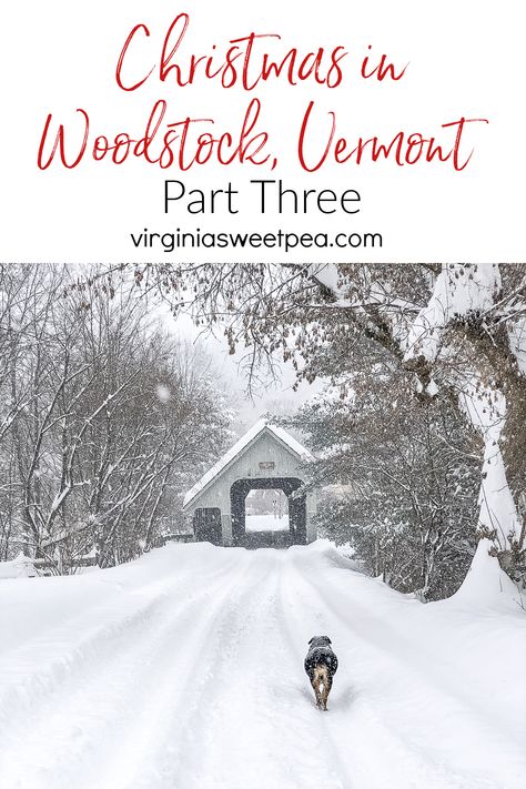 Our Christmas in Vermont trip ended with a 2-foot snowfall to enjoy. Woodstock, VT is always quaint but especially so in the snow. via @spaula Vermont Trip, Vermont Christmas, Vermont Winter, Woodstock Vt, Vermont Vacation, Woodstock Vermont, All Inclusive Trips, Christmas Travel, Dog Sledding