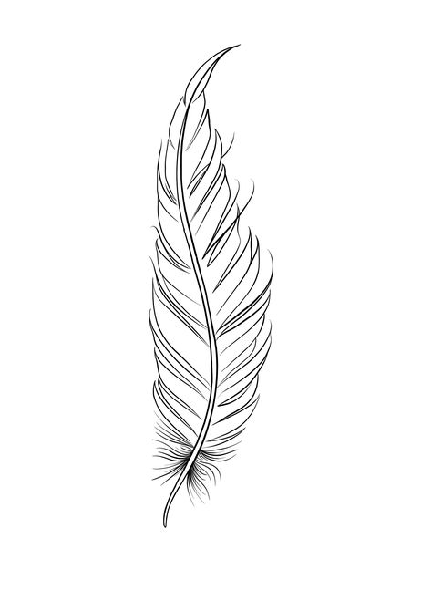 Feather Stencil Tattoo, Feather Tattoo Stencil, Quill Pen Tattoo, Feather Tattoo Drawing, Wolf Tattoo Traditional, Small Feather Tattoo, Feather Sketch, Bird Silhouette Tattoos, Feather Stencil