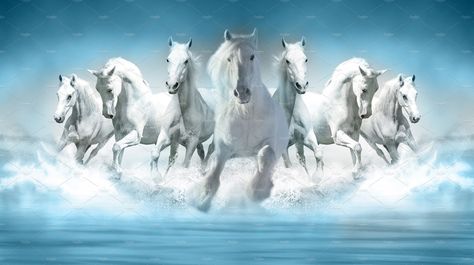 3D Wallpaper Seven Horses running Running Horse Wallpaper For Phone, 7 Horses Running Painting Vastu Wallpaper, Seven Horses Painting, Cai Sălbatici, Painted Horses, Horses Running, Wallpaper For Wall, Beautiful Horse Pictures, Horse Wallpaper