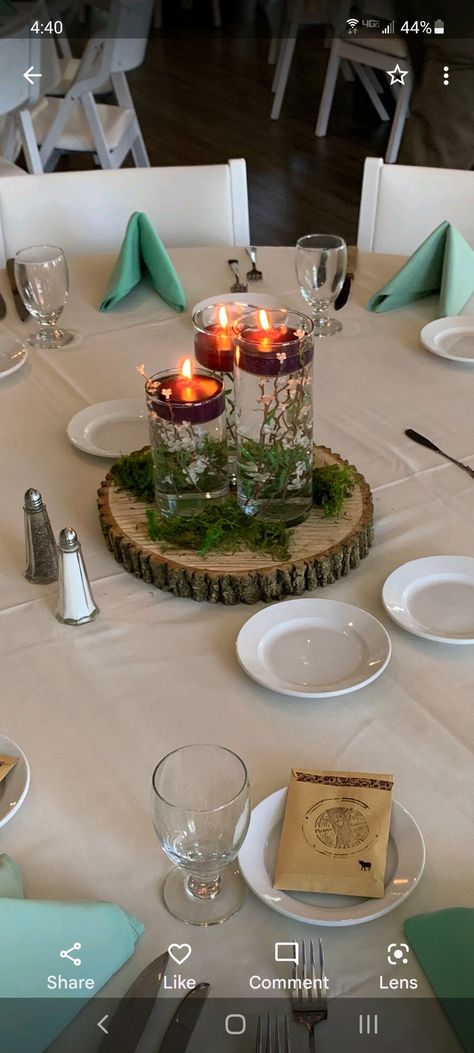 Forest Inspired Centerpieces, Moss On Table Decor, Enchanted Garden Centerpieces Diy, Forest Theme Centerpieces Woods, Fairycore Centerpiece, Tree Bark Centerpieces Wedding, Hobbit Wedding Centerpieces, Enchanted Forest Centerpieces Decoration, Forest Table Centerpieces