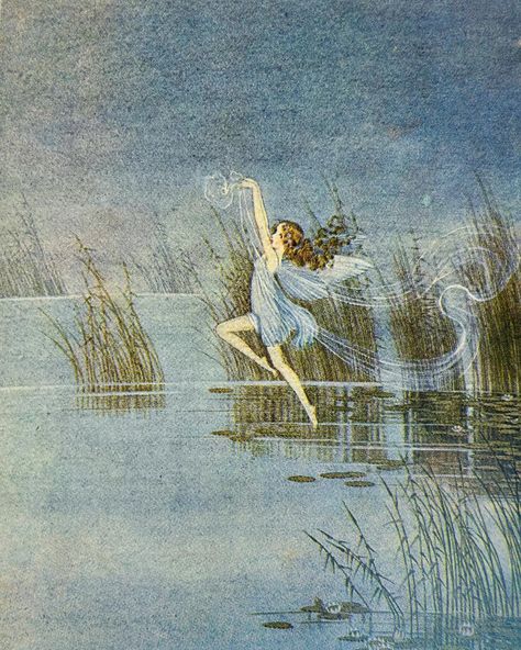 a few illustrations from my ida rentoul outhwaite book collection 🧚🫧 Ida Rentoul Outhwaite, Fairytale Illustration, Fairytale Art, January 22, Ethereal Art, Color Inspo, Water Colour, Book Collection, Instagram A