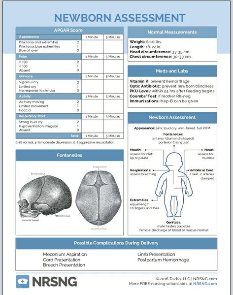 Newborn assessment Nicu Nurse Assessment, Postpartum Assessment Nursing, Maternal Newborn Nursing Notes, Newborn Assessment Nursing, Teaching Nursing Students, Mother Baby Nursing School, Post Partum Nurse, Postpartum Assessment, Birth Assistant