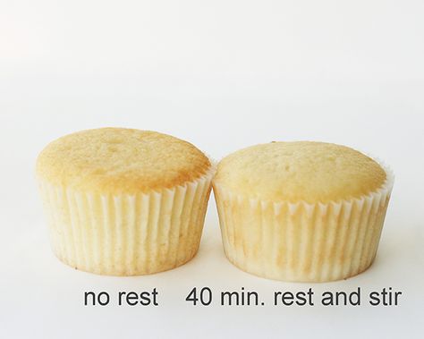 How To Bake Cupcakes, Cupcake Tips, Perfect Cupcakes, Bake Cupcakes, Mini Cupcake Pan, Novelty Birthday Cakes, Large Cupcake, Cupcake Pans, Homemade Cupcakes