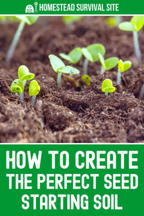 Creating the perfect seed starting soil is essential for successful germination. Learn the key components and steps to create the ideal soil. Hydroponics Gardening, Homestead Lifestyle, Homestead Style, Seed Growing, Seed Starting Soil, Homemade Bisquick, Bucket Gardening, Planting Tips, Gardening Projects