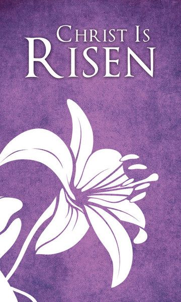 Lent Banners For Church, Easter Banners For Church, Liturgical Banners, Nighttime Prayers, Easter Church Banners, Church Banners Designs, Church Banner, Christian Fall, Resurrection Sunday