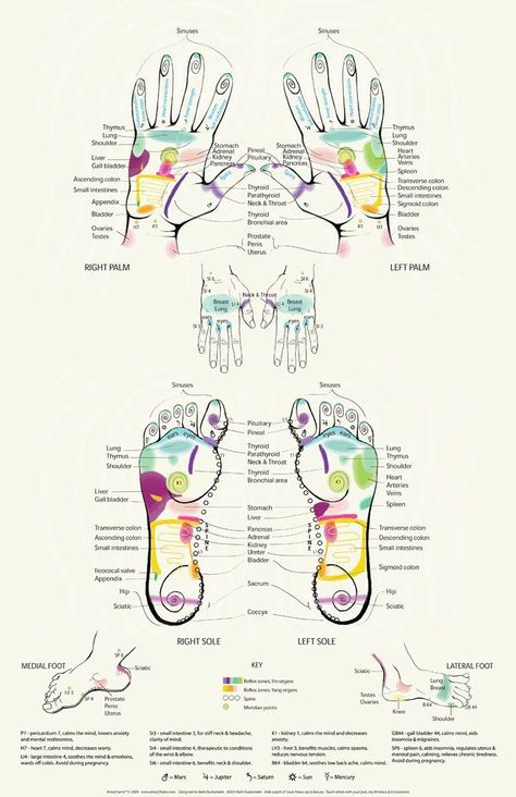 Feet Shape Chart, Acupuncture Points Chart, Healing Reflexology, Meridian Points, Foot Reflexology Massage, Hand Reflexology, Reflexology Chart, Body Connection, Acupressure Massage