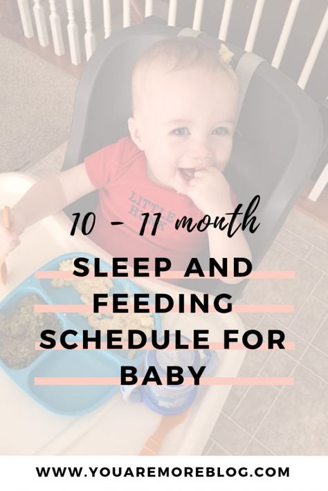 11 Month Old Routine, 11 Month Feeding Schedule, 10 Month Sleep Schedule, Feeding Schedule For 10 Month Old, 11 Month Old Eating Schedule, 10 Month Old Eating Schedule, 10 Month Old Baby Schedule, 11 Month Old Feeding Schedule, 10 Month Old Feeding Schedule