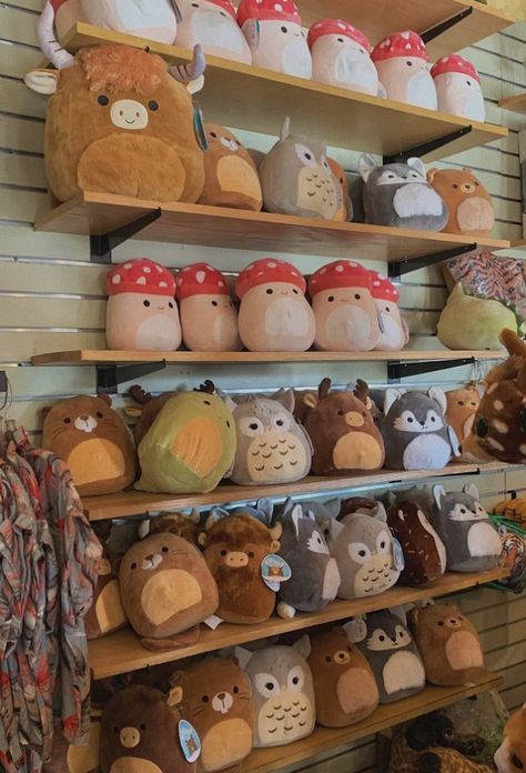 Fall Stuffed Animals, Neutral Squishmallows, Brown Squishmallow, Squish Mallows, Cute Squishies, Cute Birthday Gift, Six Flags, Kawaii Plushies, Birthday List