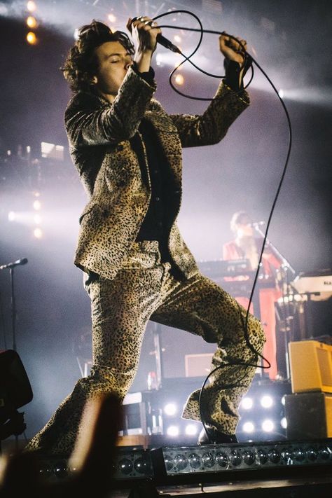 Harry Styles Concert Outfits, Harry Styles London, Harry Styles Outfit, Live On Tour, Harry Styles Poster, Harry Styles Live On Tour, Harry Styles Concert, Harry Styles Live, London Tours