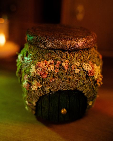 Fairy house jar pics 🧚🍃✨ #fairy #cottagecore #jar #diy #moss #clay #diarama Fairy House Jar, Diy Moss, Clay Jar, Fairy Jars, Fairy Cottagecore, Jar Diy, Fairy House, Cottage Core, Tree House