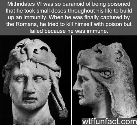 Creepy Facts, History Nerd, Wow Facts, Science Facts, Historical Facts, Interesting History, The More You Know, History Facts, Memes Funny