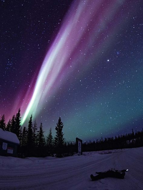 the Northern Lights in Yellowknife, Canada Yellowknife Canada, Northern Lights (aurora Borealis), Aurora Borealis Northern Lights, See The Northern Lights, The Northern Lights, The Night Sky, Beautiful Sky, Land Art, Pretty Places