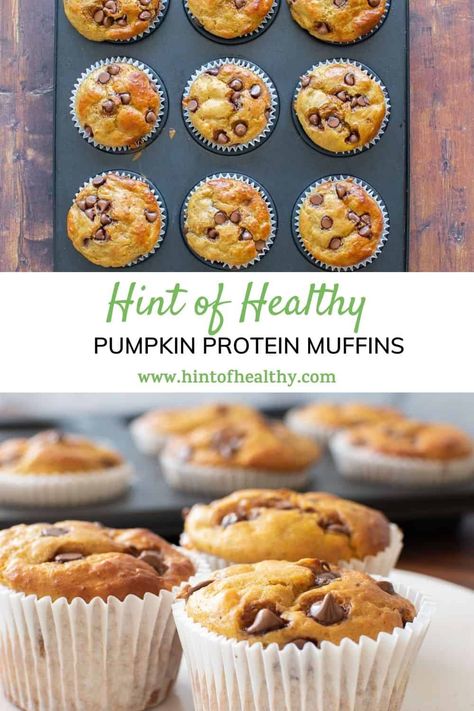 Pumpkin Zucchini Protein Muffins, Pumpkin Pie Protein Powder Recipes, Pumpkin Chocolate Chip Protein Muffins, Pre Workout Muffins, Pumpkin Chocolate Protein Muffins, Easy Protein Pumpkin Muffins, Fall Protein Muffins, Pumpkin Protein Powder Muffins, Pumpkin Muffins With Protein Powder