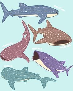 Whale shark Shark Drawing Easy, Whale Shark Drawing, Shark Whale, Shark Painting, Shark Illustration, Whale Drawing, Ocean Illustration, Shark Drawing, Look Wallpaper