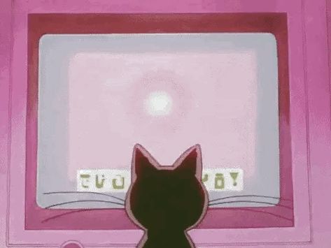 Moon Gif, Sailor Moon Gif, Makoto Kino, 90 Anime, Minako Aino, Mahō Shōjo, Cat Photography, Old Anime, Z Flip