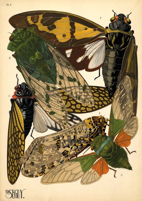 Vintage bugs 2 Art Mignon, Bug Art, Kunst Inspiration, Insect Art, Scientific Illustration, Arte Inspo, 문신 디자인, Art Et Illustration, Art And Illustration