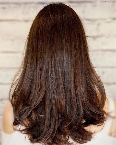 Global Hair Colour, Global Hair Color, Brown Hair Colour, Mocha Hair, Global Hair, Chocolate Brown Hair Color, Brown Ombre Hair, Brown Hair Dye, Chocolate Brown Hair