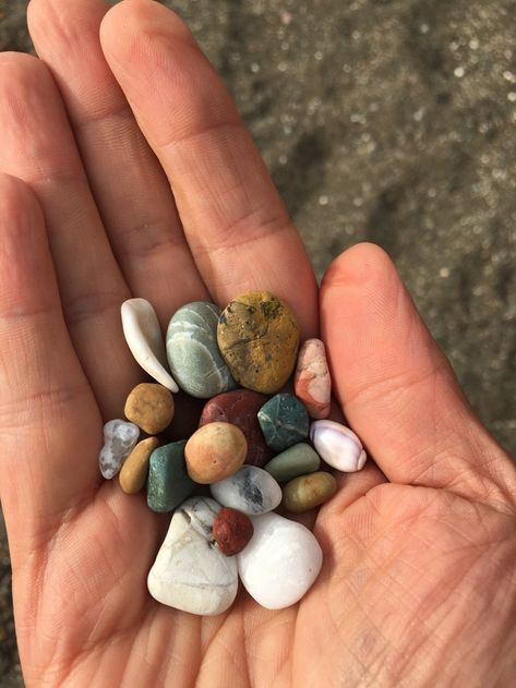 Shells and beach combing - Review of Moonstone Beach, Cambria, CA - Tripadvisor Moonstone Beach, Beach Shells, Hearst Castle, Business Friends, Tide Pools, Best Sunset, Beach Combing, San Luis Obispo, Best Location