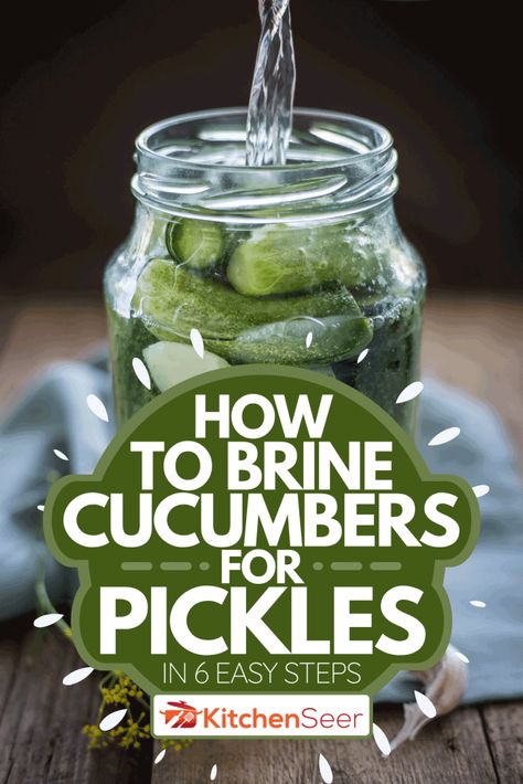 Basic Pickling Brine Recipe, Dill Pickle Brine Recipe, Pickling Brine Recipe, Pickles Homemade Easy, Canning Pickles Recipe, Pickling Cucumbers Recipe, Afro Hairstyles Women, Easy Pickling Recipes, Pickled Vegetables Recipe