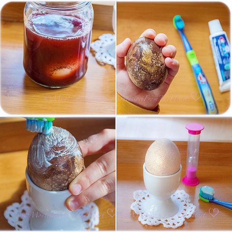 Frozen Dinosaur Eggs Sensory Play | Montessori From The Heart Dental Health Week, Dental Health Preschool, Kids Dental Health, Egg Experiments, Dental Health Activities, Dental Health Month, Nutrition Activities, Dental Kids, Kid Experiments